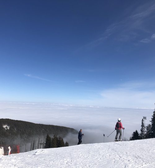 Vitosha